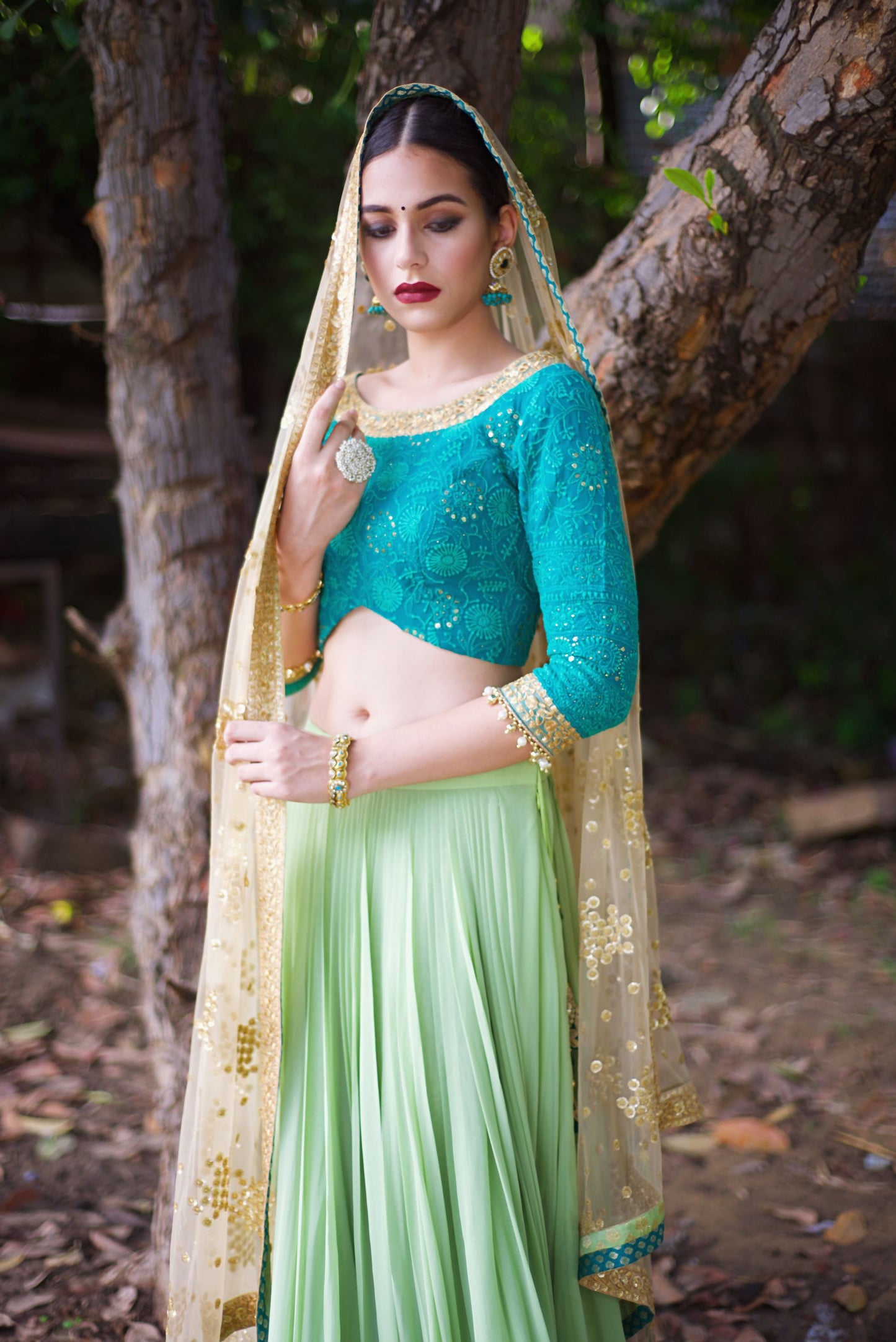 Ferha Lehenga Set